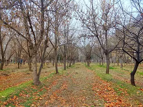 معنی کلمه جهانشهر در دانشنامه عمومی