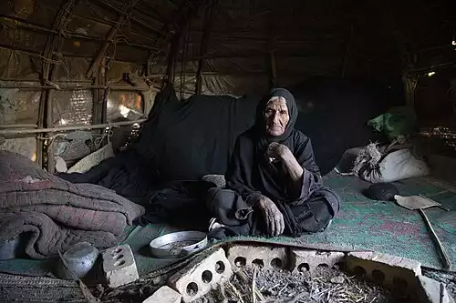 معنی کلمه خط فقر در فرهنگستان زبان و ادب