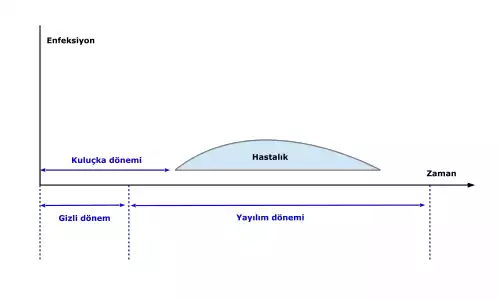 دوره نهفتگی