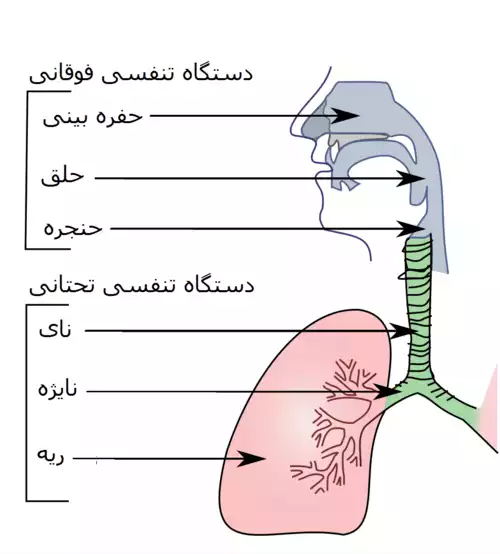 راه هوایی