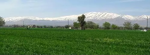 زاکیه