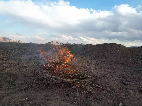 معنی کلمه سردق در فرهنگ فارسی