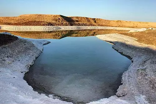 معنی کلمه سردق در دانشنامه عمومی