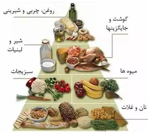 معنی کلمه امنیت غذایی در دانشنامه عمومی