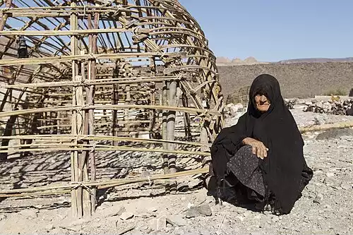 معنی کلمه سالمندی در دانشنامه عمومی