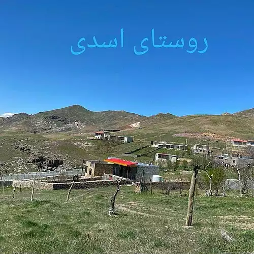 اسدی