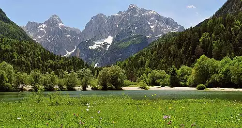 معنی کلمه اسلوونی در دانشنامه عمومی