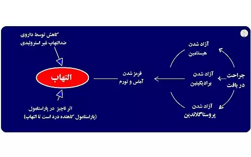 معنی کلمه التهاب در فرهنگ فارسی