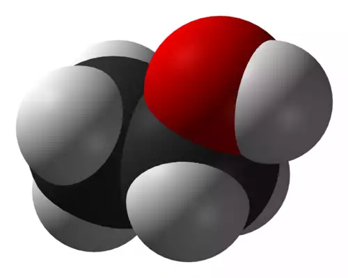 معنی کلمه الکل در فرهنگ معین