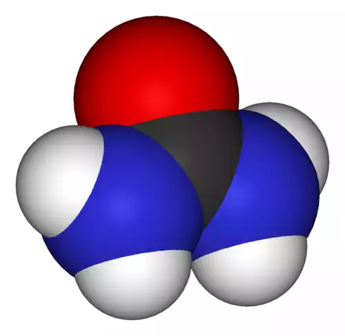 معنی کلمه اوره در فرهنگ معین