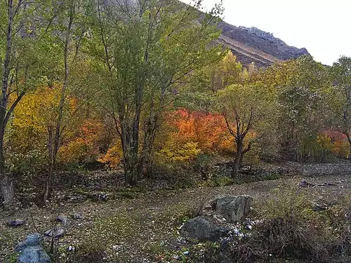 معنی کلمه آهار در فرهنگ فارسی