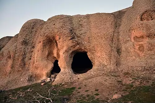 معنی کلمه ازبک در لغت نامه دهخدا