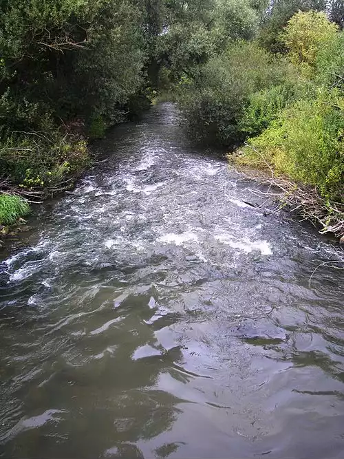 معنی کلمه آیش در لغت نامه دهخدا