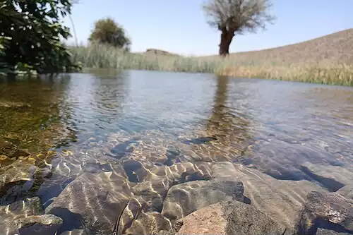 معنی کلمه آبگیر در لغت نامه دهخدا