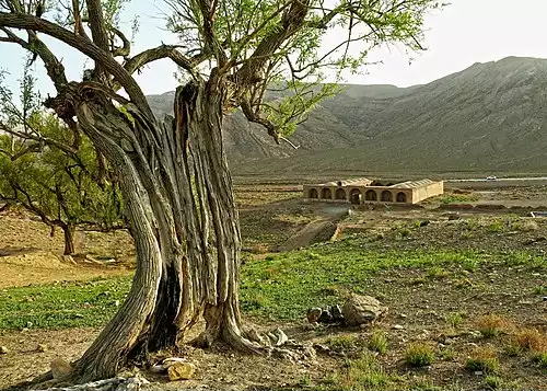 معنی کلمه راور در فرهنگ فارسی