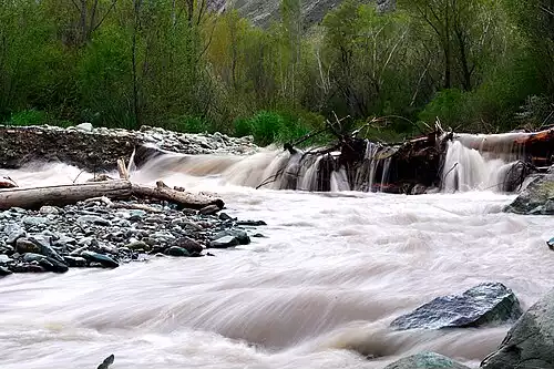 معنی کلمه سرک در لغت نامه دهخدا