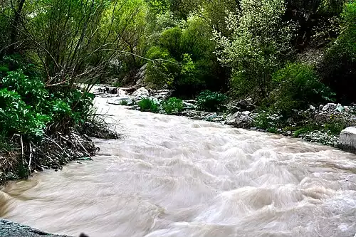 معنی کلمه سرک در فرهنگ معین