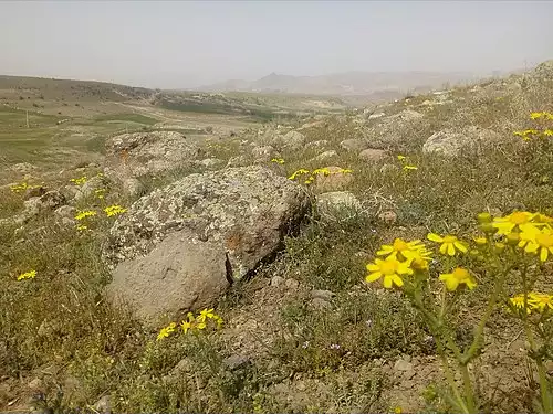 معنی کلمه سواره در فرهنگ فارسی