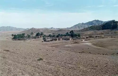 عروسان