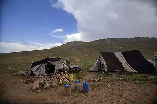 معنی کلمه عشایر در دانشنامه عمومی