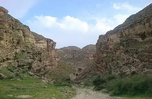 معنی کلمه لاغران در دانشنامه عمومی