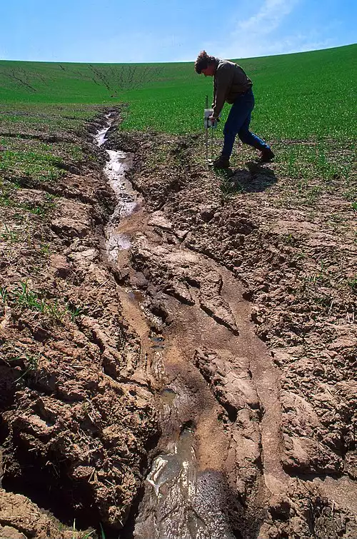 معنی کلمه محیط‌زیست در دانشنامه عمومی