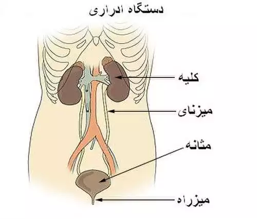 میزنای