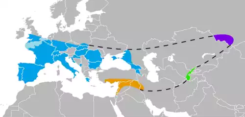 معنی کلمه نئاندرتال در دانشنامه عمومی