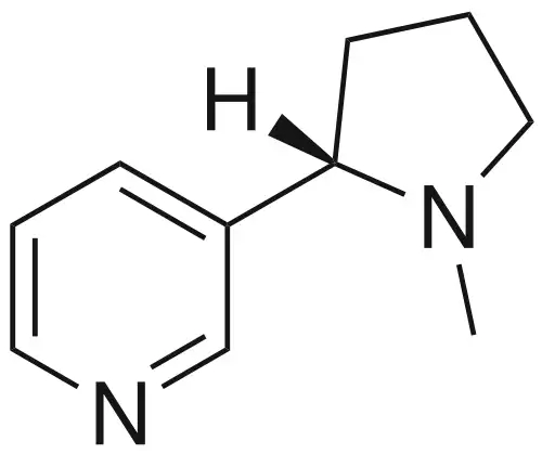 نیکوتین