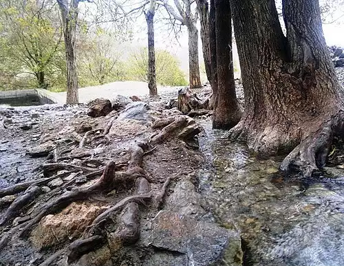 معنی کلمه وانشان در دانشنامه عمومی