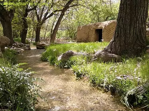 جملاتی از کاربرد کلمه وانشان