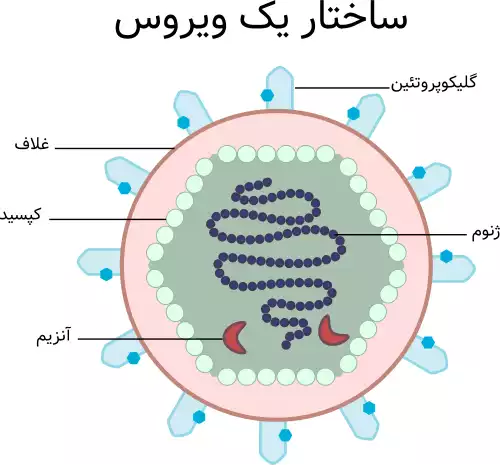 معنی کلمه ویروس در فرهنگ معین