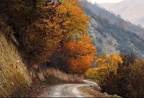 معنی کلمه پرن در فرهنگ فارسی