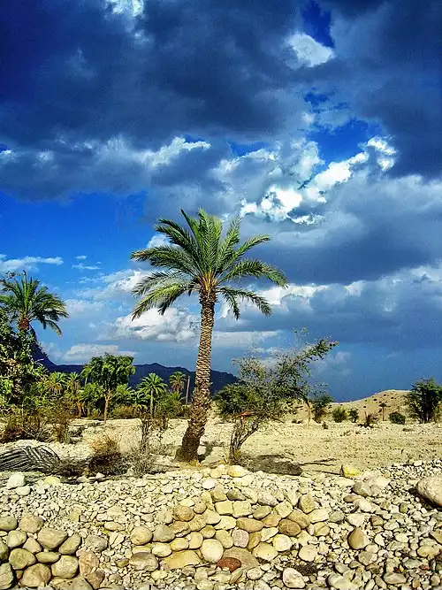 معنی کلمه چلو در فرهنگ معین