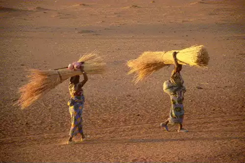 معنی کلمه کاه در فرهنگ معین