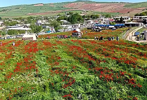 معنی کلمه کرنگ در فرهنگ فارسی