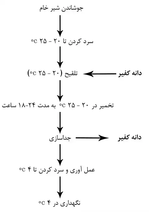 معنی کلمه کفیر در دانشنامه آزاد فارسی