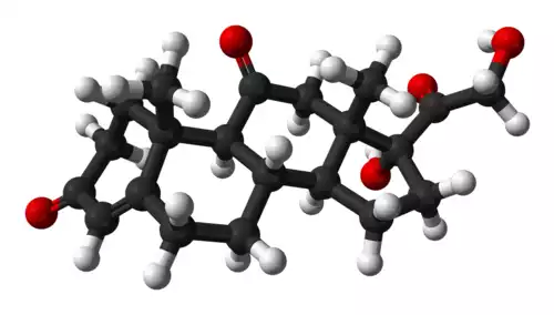 معنی کلمه کورتیزون در دانشنامه عمومی