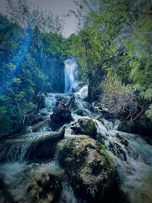 معنی کلمه کوهمره در فرهنگ فارسی