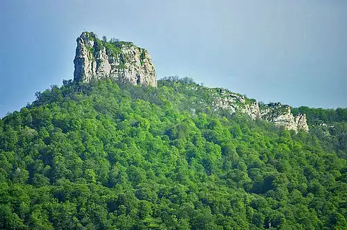 معنی کلمه گریوه در لغت نامه دهخدا