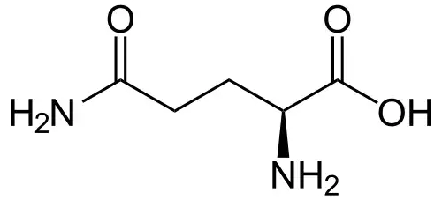 گلوتامین