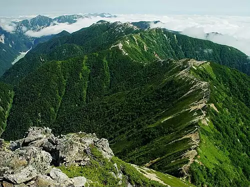 معنی کلمه یال در فرهنگستان زبان و ادب