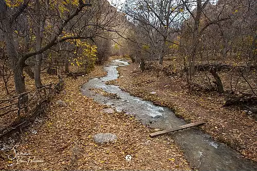 درده