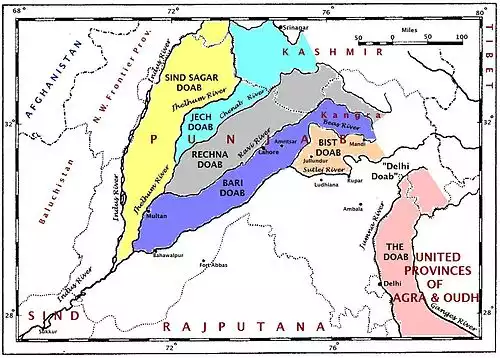 معنی کلمه دواب در لغت نامه دهخدا