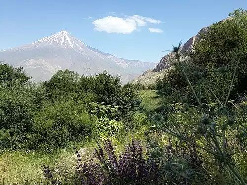 معنی کلمه نوا در لغت نامه دهخدا