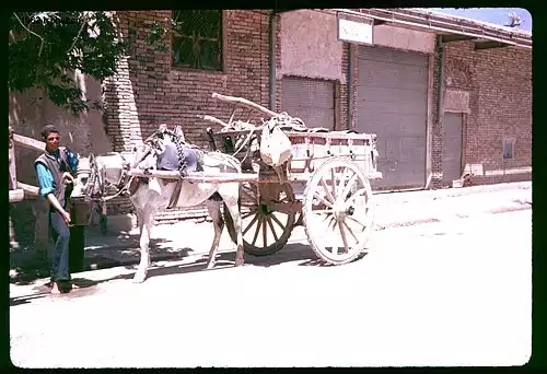 معنی کلمه گاری در لغت نامه دهخدا