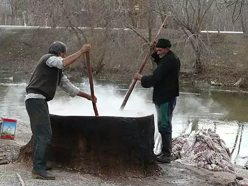 معنی کلمه رنگرزی در فرهنگستان زبان و ادب