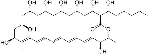 جملاتی از کاربرد کلمه فیلیپین