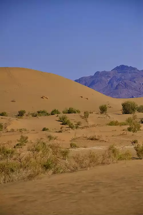 معنی کلمه مصر در فرهنگ معین