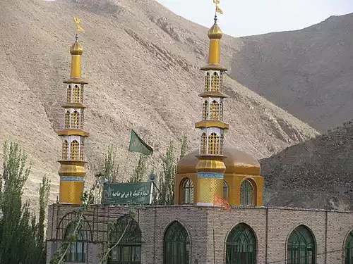 معنی کلمه نوزاد در فرهنگستان زبان و ادب